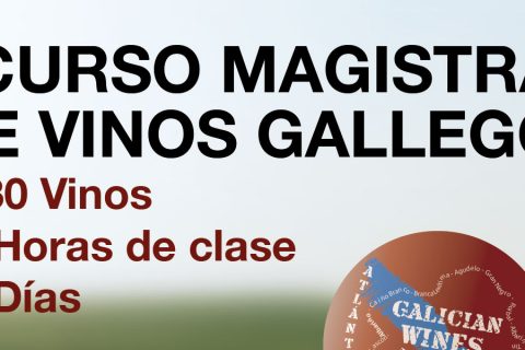 I CURSO MAGISTRAL DE VINOS GALLEGOS