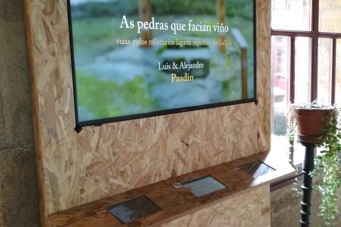 EL LIBRO DE LOS LAGARES RUPESTRES DE GALICIA EN EL MUSEO DEL VINO DE VERÍN