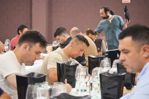 GUÍA PAADÍN 2025: D.O. VALDEORRAS