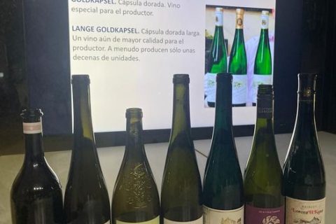 CURSO DE VINOS DE ALEMANIA EN VALENCIA