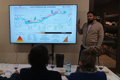 AULA PAADÍN: SUELOS DE AMANDI CON DON BERNARDINO