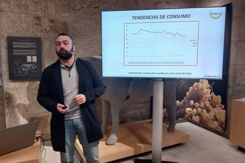 SEMINARIO DE TENDENCIAS DEL MUNDO PARA EL MUSEO DO VIÑO DE GALICIA
