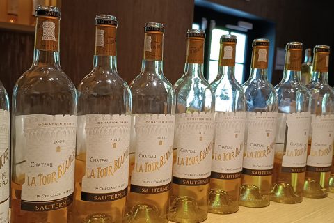 PRIMEURS DE BORDEAUX: +200 VINOS Y +30 AOCs CATADOS