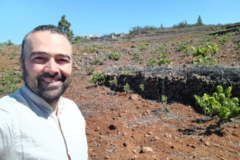 RECORRIENDO LOS VIÑEDOS DE TENERIFE