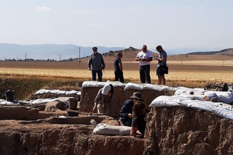 ORANGE WINE, ¿PRECURSOR ANCESTRAL?
