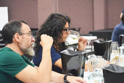 CATAS GUÍA PAADÍN 2025: D.O. RÍAS BAIXAS I