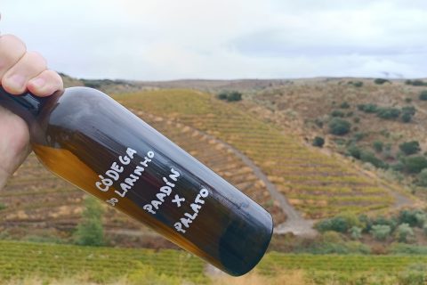 ANÁLISIS DE VENDIMIA EN EL DOURO SUPERIOR