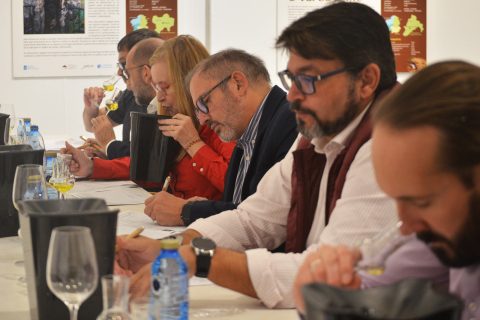 GUÍA PAADÍN 2025: DESTILADOS II (MADRID)