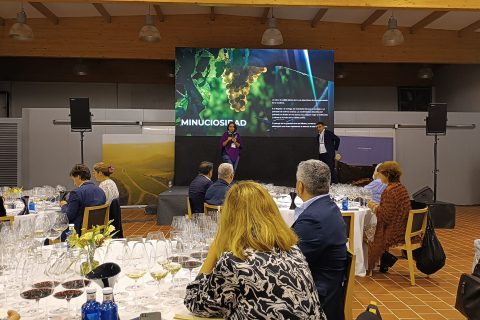 PROYECTOS QUE ENAMORAN EN RIBERA DEL DUERO