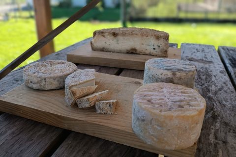 APRENDIENDO DE QUESOS ARTESANOS EN LLANES (ASTURIAS)