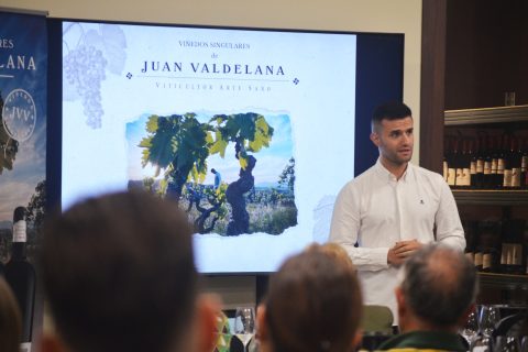 AULA PAADÍN: VALDELANA, VIÑEDOS SINGULARES DE RIOJA ALAVESA