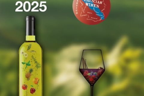 CAMPAÑA DE MECENAZGO GUÍA PAADÍN 2025