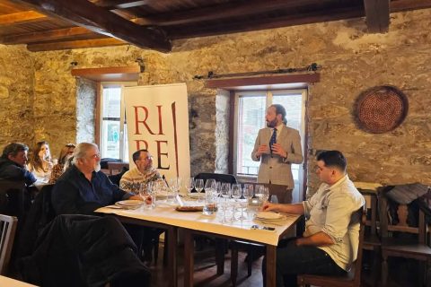 JORNADAS DE VIÑAS VIEJAS DE RIBERA DEL DUERO