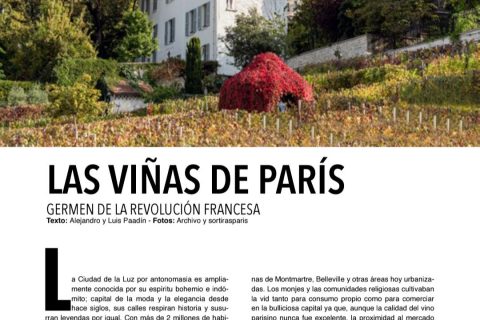 ARTÍCULO TRAVELING: LAS VIÑAS DE PARÍS