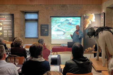 SEMINARIO SOBRE LOS MILENARIOS LAGARES RUPESTRES DEL RIBEIRO