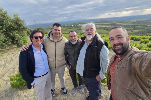 RECORRIENDO VIÑAS, LAGARES Y BODEGAS DE MONTILLA MORILES