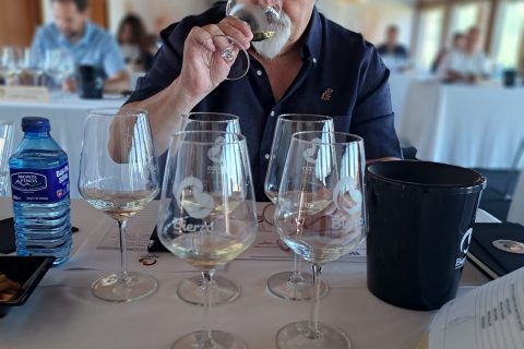 CATA DE CALIFICACIÓN DE AÑADA EN LA D.O. BIERZO