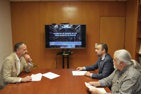 ESTUDIO SOBRE EL POTENCIAL DE GUARDA DE LOS VINOS BLANCOS DE GALICIA