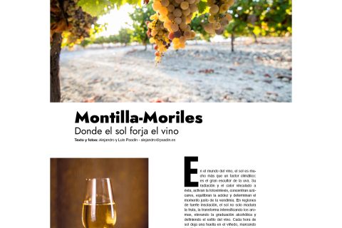 ARTÍCULO TRAVELING: MONTILLA MORILES