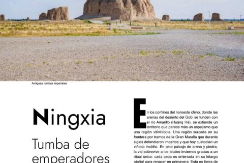 ARTÍCULO TRAVELING: NINGXIA (CHINA)