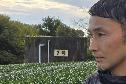 VIAJAMOS A JAPÓN PARA SELECCIONAR EL MEJOR TENCHA (MATERIA PRIMA DEL MATCHA)