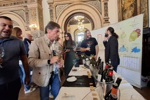 LLEVAMOS LOS VINOS DE MONTERREI AL SUR DE ESPAÑA