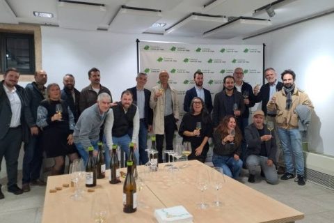CREACIÓN DE UNA NUEVA ASOCIACIÓN VITIVINÍCOLA: AVIBE