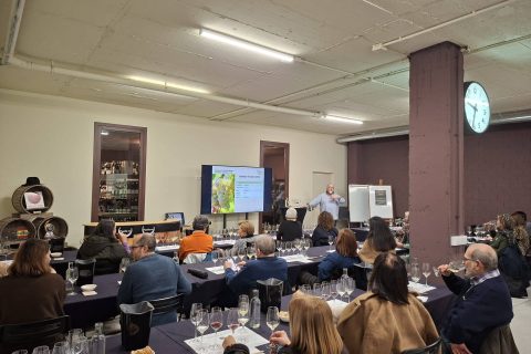 SEMINARIO DE "CASTES" DE PORTUGAL, FRANCIA Y ALEMANIA EN EL AULA PAADÍN