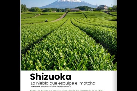 ARTÍCULO TRAVELING: SHIZUOKA, TIERRA DE MATCHA