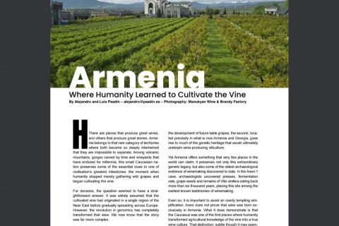 ARTÍCULO TRAVELING: ARMENIA