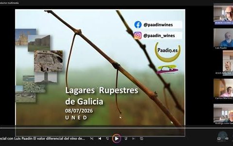 WEBINAR SOBRE LOS LAGARES RUPESTRES DE GALICIA