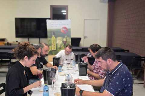 CATAS GUÍA PAADÍN 2027: MONTERREI