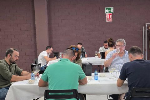 CATAS GUÍA PAADÍN 2027: VALDEORRAS